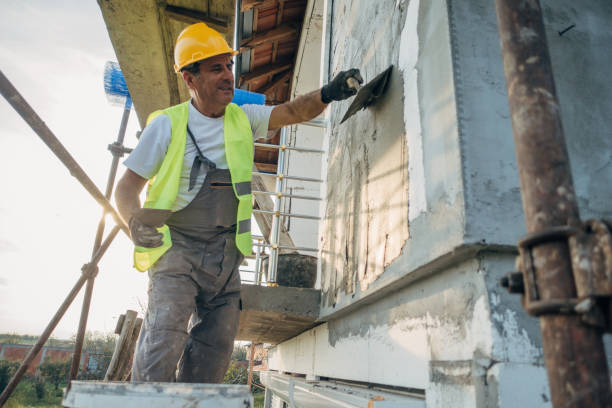 Best Wall Insulation Contractor  in Dundee, MI
