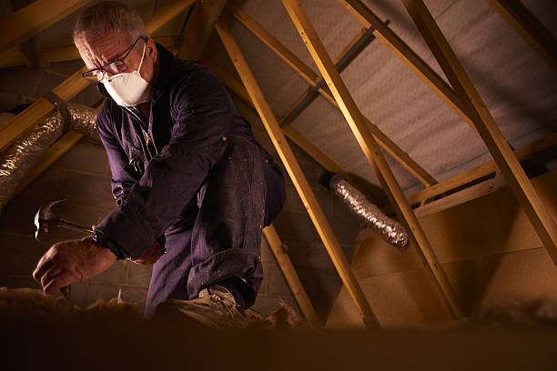 Best Garage Insulation Installation  in Dundee, MI